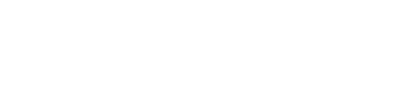 Star EV Logo